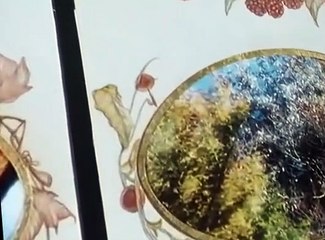 The Wind in the Willows (TV Series) S02 E008 - Harvest