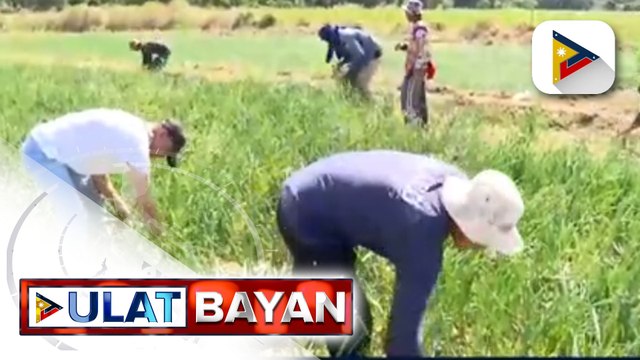 Pres. Ferdinand R. Marcos Jr., sinagot ang iba't ibang isyu na kinahaharap ng bansa sa isang media panel interview