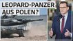 Polen will in Berlin Leopard-Lieferung beantragen