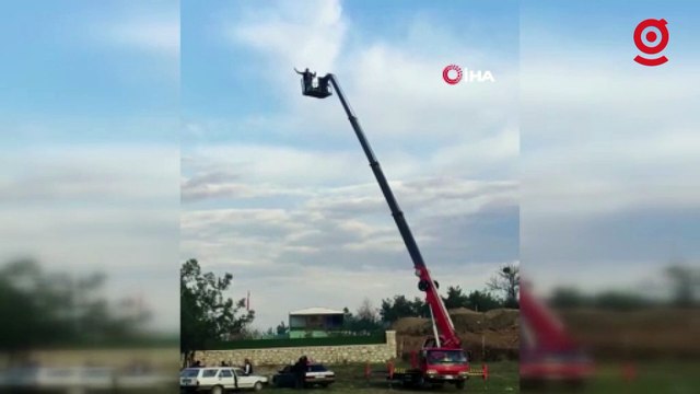 Vincin tepesine çıkıp 14 el ateş etti, Hani yok mu alkış diyerek alkış istedi