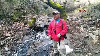 İddia: Timinciler Çayı zeytinyağı tesislerinin atık sularıyla kirleniyor