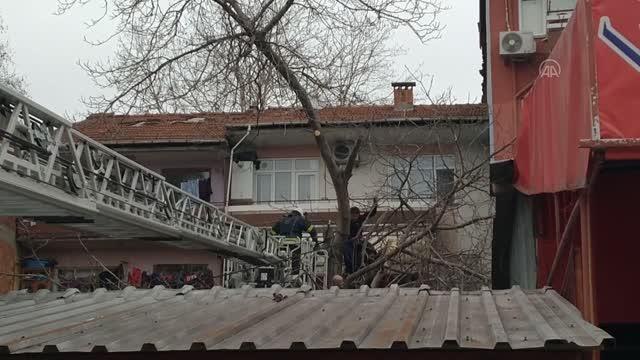Budamak için çıktığı ağaçta fenalaşan kişiyi itfaiye kurtardı