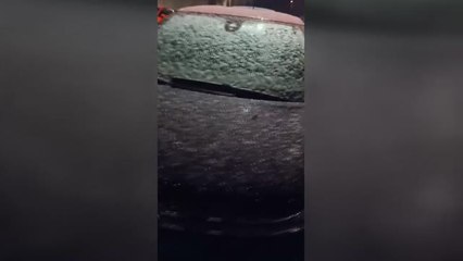 Nevadas hasta en Mallorca