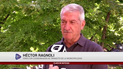 Los controles de tránsito en la primera quincena