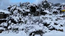 Una noche de temperaturas bajo cero deja nevadas en Mallorca e Ibiza