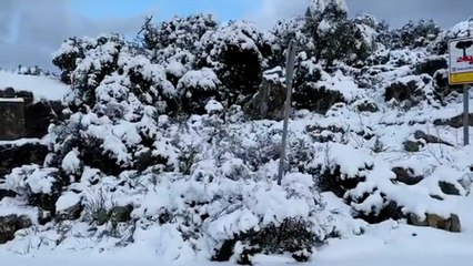 Una noche de temperaturas bajo cero deja nevadas en Mallorca e Ibiza