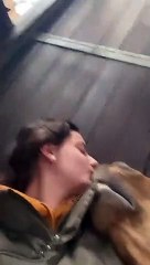 Horse Loves Giving Kisses