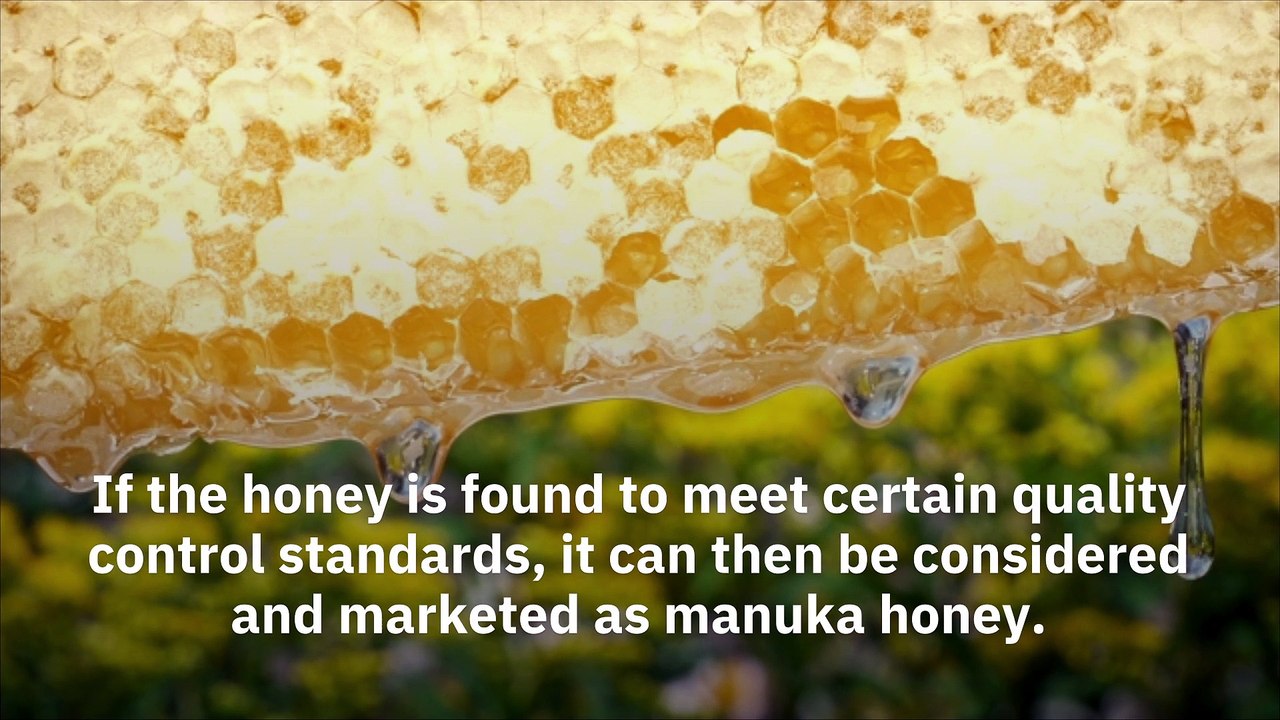 What Is The Difference Between Manuka Honey and Regular Honey? Vidéo Dailymotion