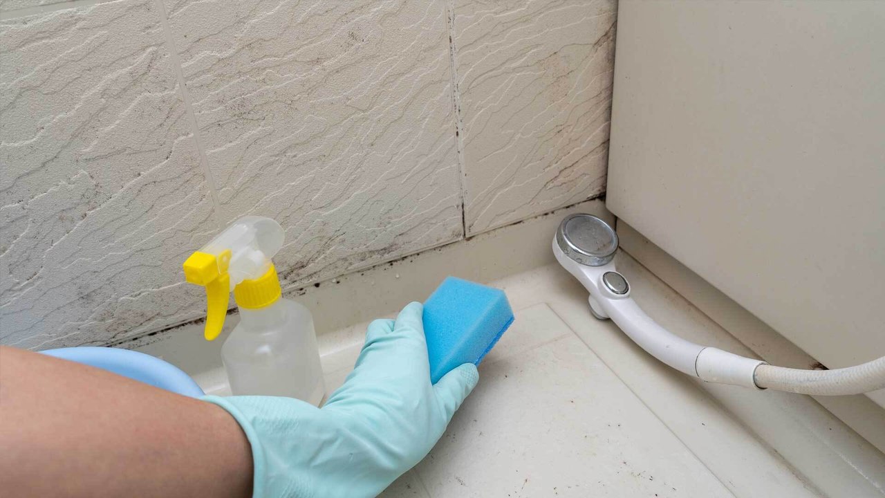 Schimmel in der Dusche entfernen: Mit diesen Mitteln klappt's