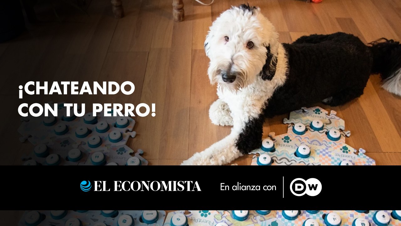 ¿Has soñado alguna vez que podías hablar con tu perro? Tal vez pronto sea realidad. 