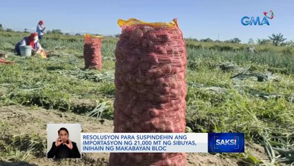 1,200 metric tons ng imported na sibuyas, nasa bansa na | Saksi