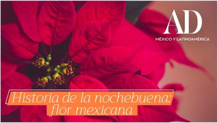 Historia de la Nochebuena mexicana