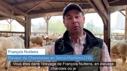 Une période de reproduction de 6 semaines pour 70 vêlages