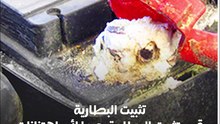 9 نصائح مهمة للحفاظ على بطارية السيارة وتجنب تلفها
