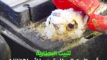 كيف تحافظ على بطارية سيارتك في 9 خطوات؟