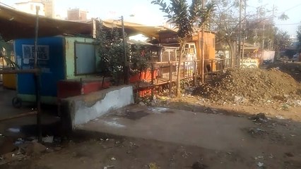 कार्रवाई के प्रति गंभीरता नहीं बरत रहे जिम्मेदार