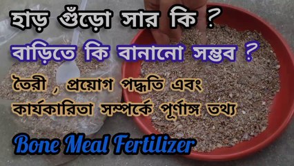হাড় গুঁড়ো সার ।।  Bone Meal Fertilizer