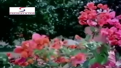 O Zara Dekh Ke Chalna Hay _/ Jeetendra, Babita/ Bikhre Moti 1971