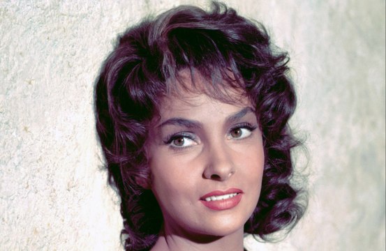 El ex de Gina Lollobrigida pide que se investigue el paradero de sus bienes