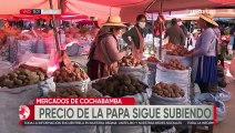 Cochabamba: el precio de la papa sigue en aumento y se cotiza en Bs 90 la arroba