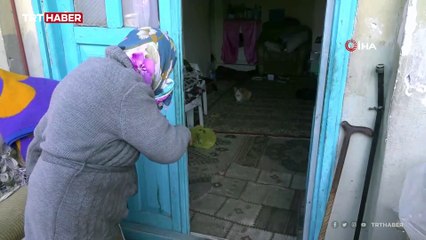 Fahriye Nine'nin kedi sevgisi yürekleri ısıttı