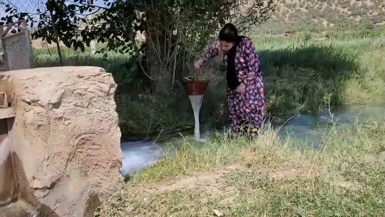 Rural lifestyle in Iran - daily village life in Iran - village life in Iranian Kurdistan