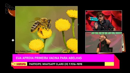 Ricardo Amado 23/01/23