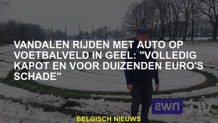 Vandals rijden met de auto op voetbalveld in Geel: "volledig gebroken en voor duizenden euro -schade