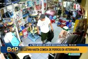 Chorrillos: roban ganancias de veterinaria y se llevan hasta la comida para perros