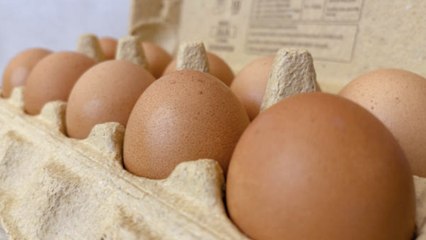Egg Smuggling Is on the Rise at the US Border as Prices Soar