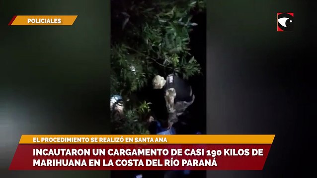 Incautaron un cargamento de casi 190 kilos de marihuana en la costa del río Paraná