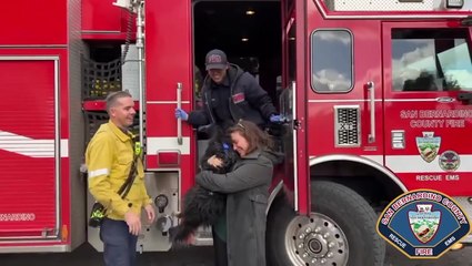 Firefighters rescue dog from storm drain with help from Apple AirTag