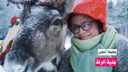 وظيفة أحلامي: راعية الرنة