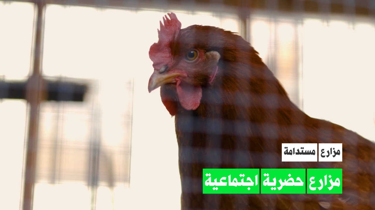 تعلم وإزرع واحصل على طعام مجاني