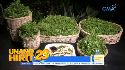 Chef JR Royol meets the ‘Pako King’! | Unang Hirit