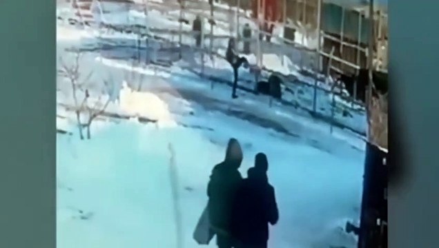 Drunk' Woman Mauled By Lion, Nearly Her Hand Ripped Off Climbing Over Safety Barrier At Russian Zoo