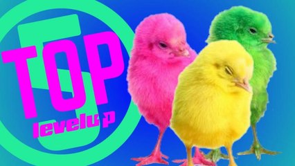 Battle Royale que murieron más rápido que un pollito de colores