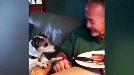 Funniest Fails: The Ultimate Bloopers and Goofs of 2022 Compilation