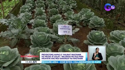 Proyektong HAPAG o "Halina’t magtanim ng prutas at gulay," inilunsad ng DILG para hikayatin ang mga barangay na magtanim | BT