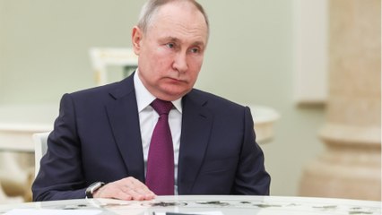 Putin' says ‘leave it to me’ to Xi Jinping before downing of plane MH17, recent book claims