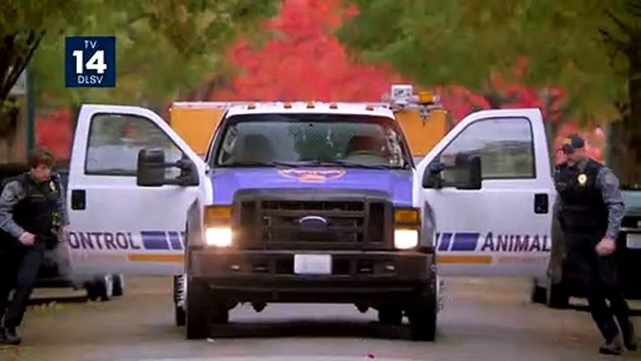 Animal Control Teaser OV