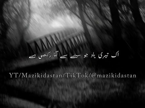 Hum Ne | Duniya | Mein Ek Alag Duniya | Bana | Rakhi Hai Urdu Shayari Viral Poetry| Status