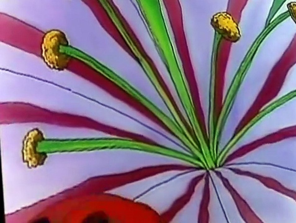 The Magic School Bus The Magic School Bus E011 The Magic School Bus Goes to Seed video