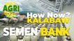 HOW NOW? KALABAW - Artificial Insemination