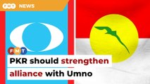 PKR needs Umno to grow in Kelantan, Terengganu, says analyst