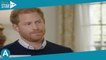 Prince Harry : Netflix en colère après la publication de ses Mémoires, le mari de Meghan Markle sous