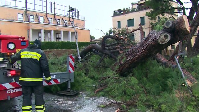 Tormentas, fuertes vientos y carreteras cerradas en una Europa cubierta de nieve