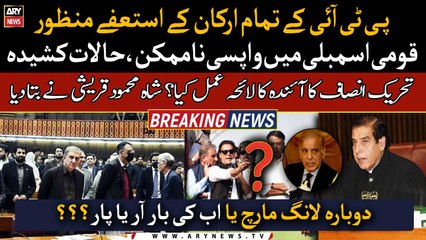 Shah Mahmood Qureshi comments over 'NA Speaker approves resignations of 43 more PTI MNAs'