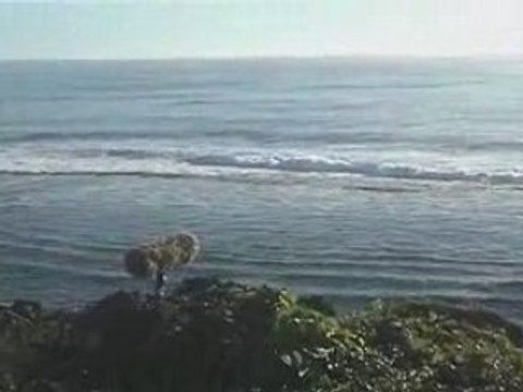 Rob Nokes - Recording Authentic Sounds from the Cook Islands