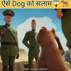 True story of army dog